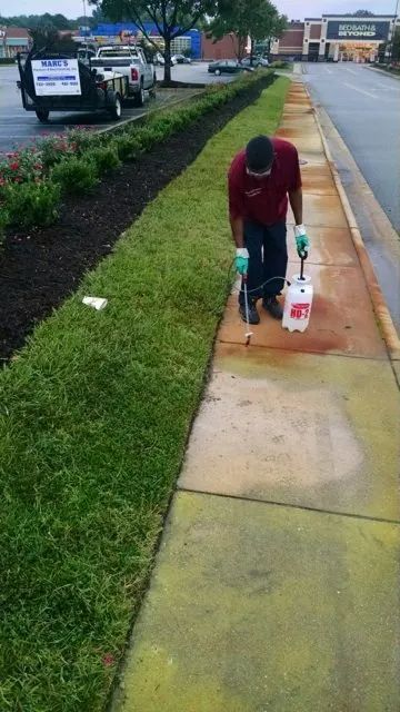 Person walking with a cane and carrying shopping bags on a wet sidewalk beside a landscaped road.