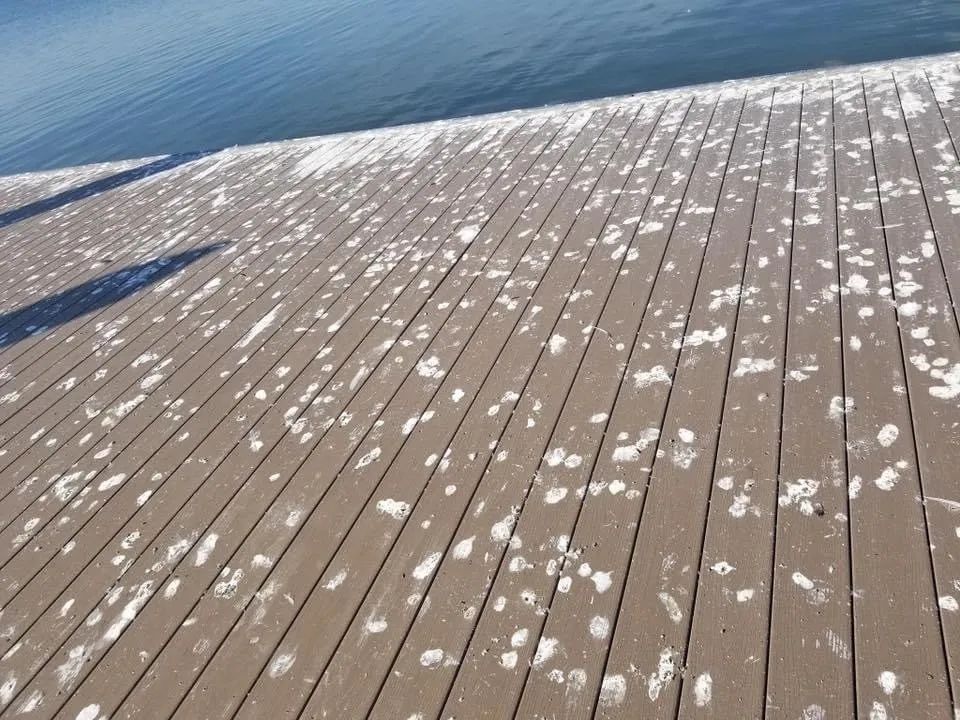 Snow-covered wooden dock beside calm blue water