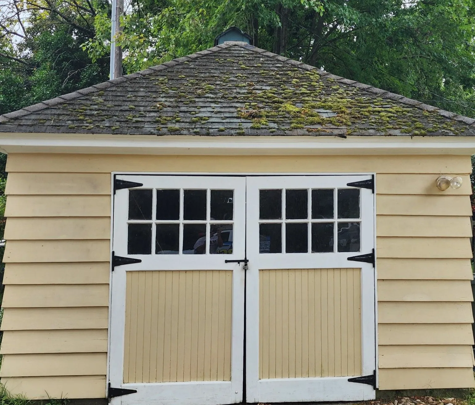 Small beige shed with white double doors and windows under a mossy shingled roof