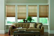 Residential window blinds