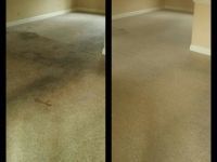 showing dirty carpet and after cleaning carpet comparison