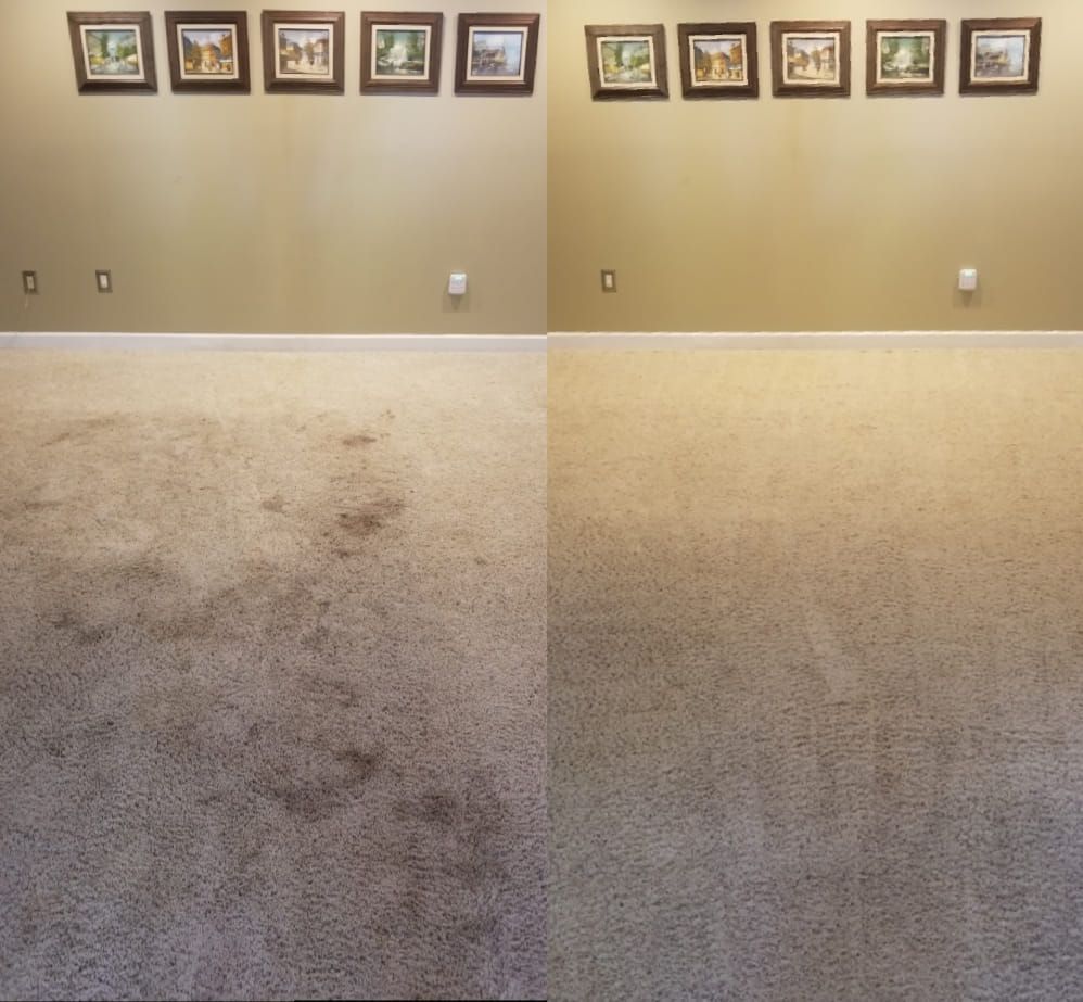 compares clean and dirty carpet