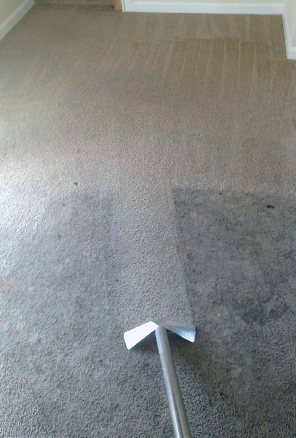 showing a clean section on dirty carpet