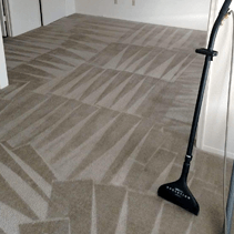 Residential carpet cleaning service