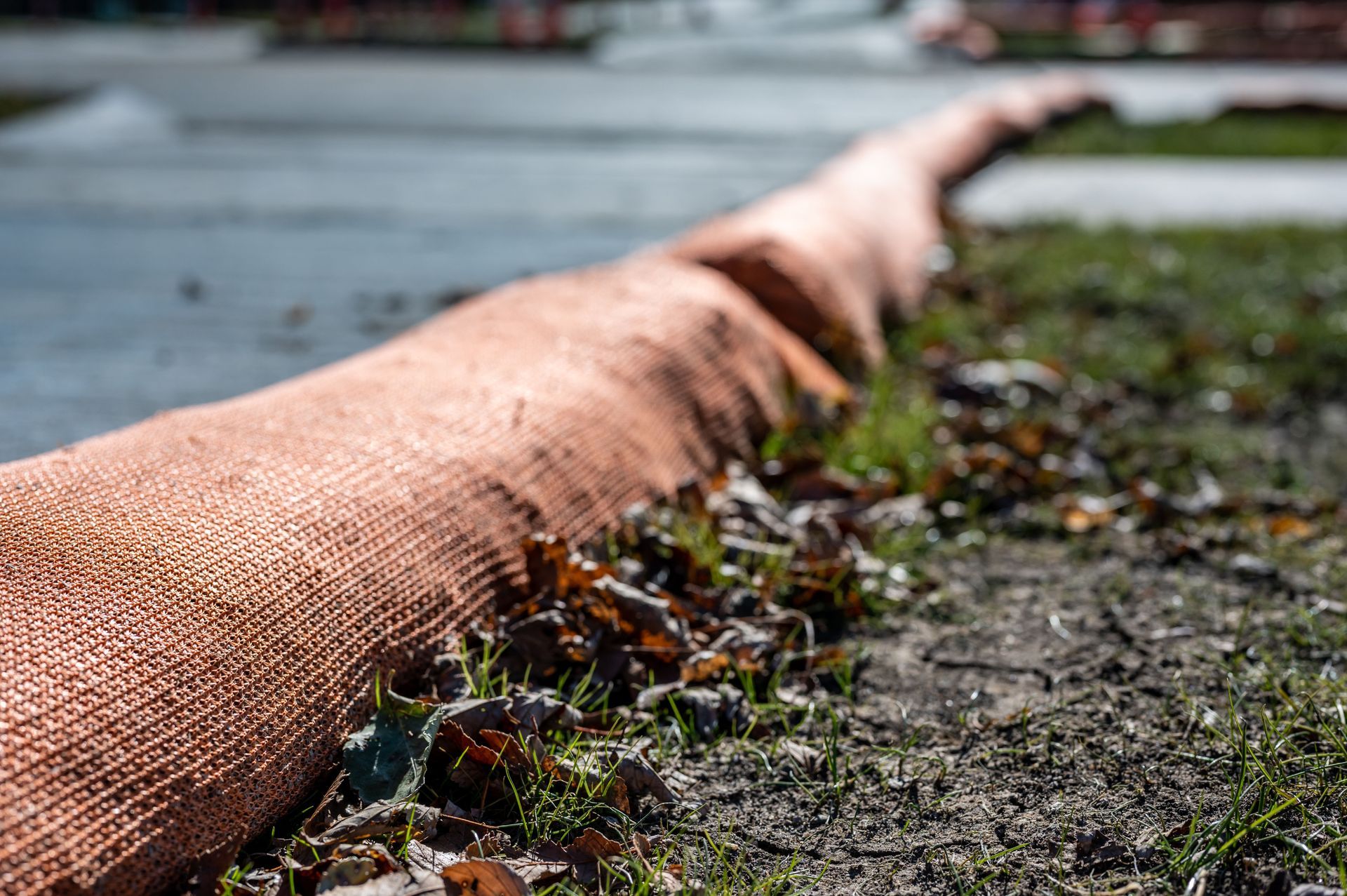 hydro seeding