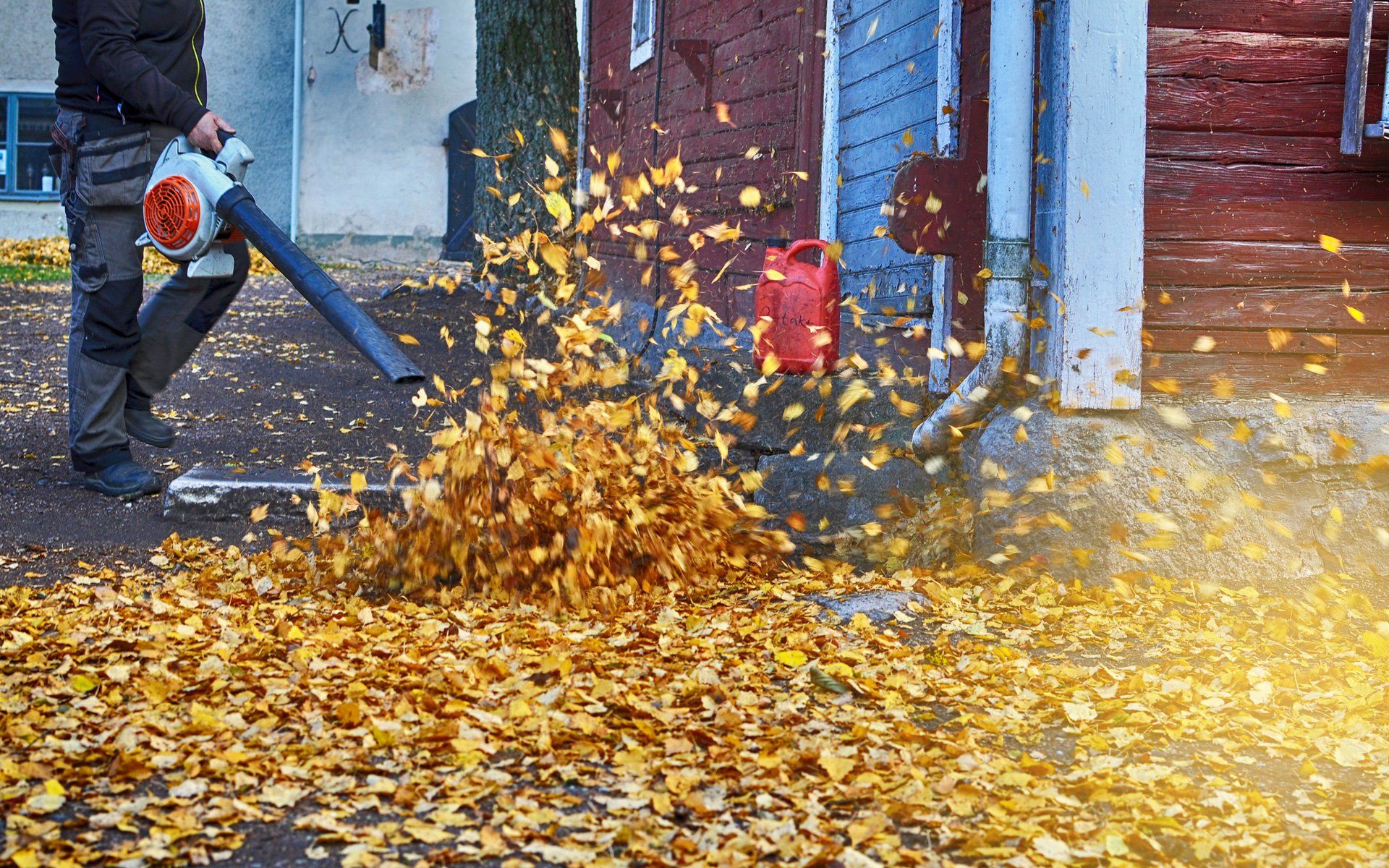 Spring / Fall Cleanup