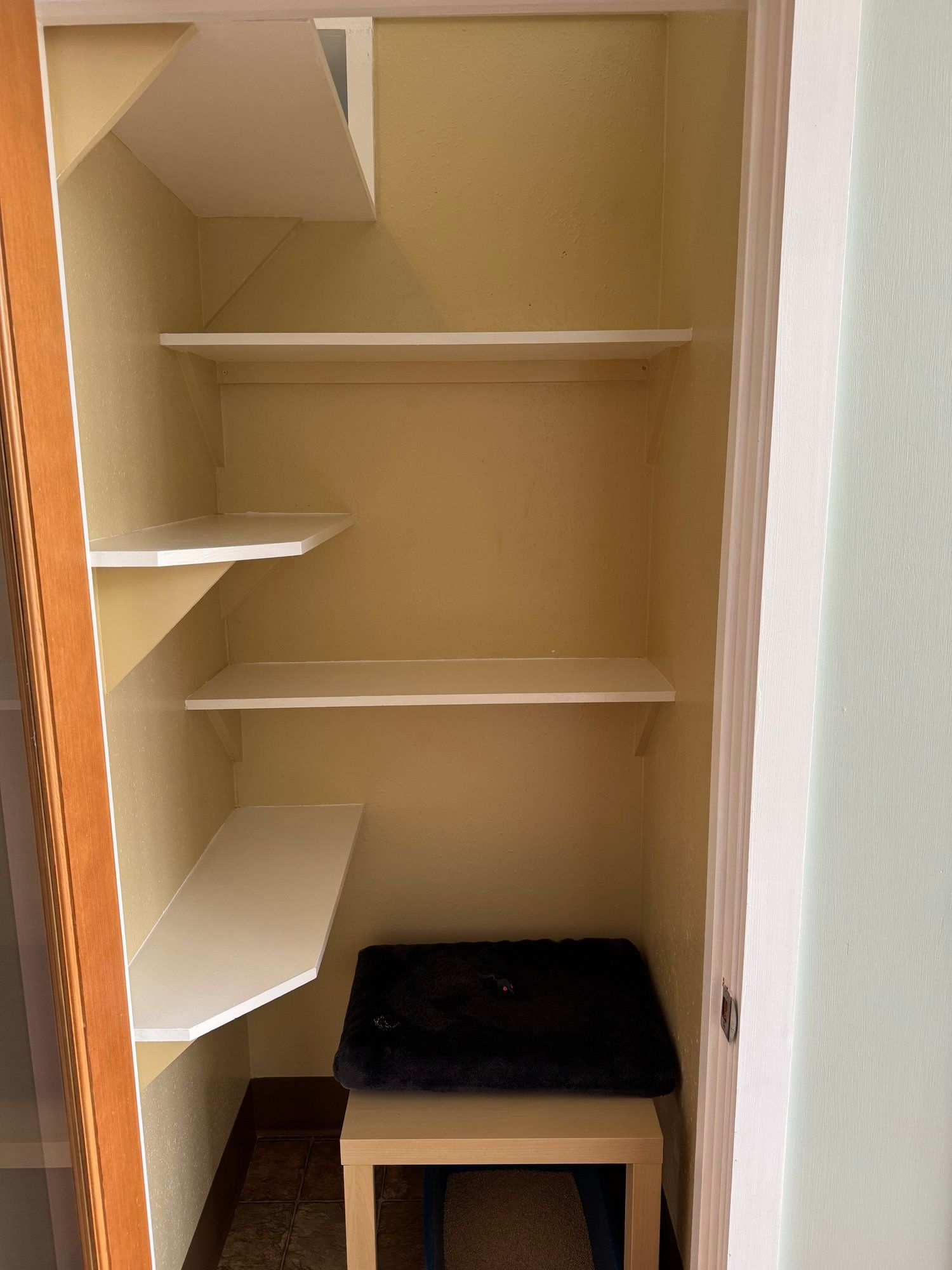 A small closet with shelves and a stool in it