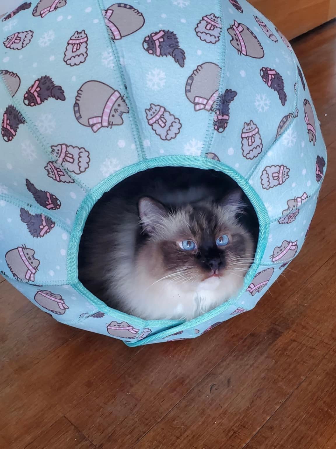 A cat is laying in a blue cat bed