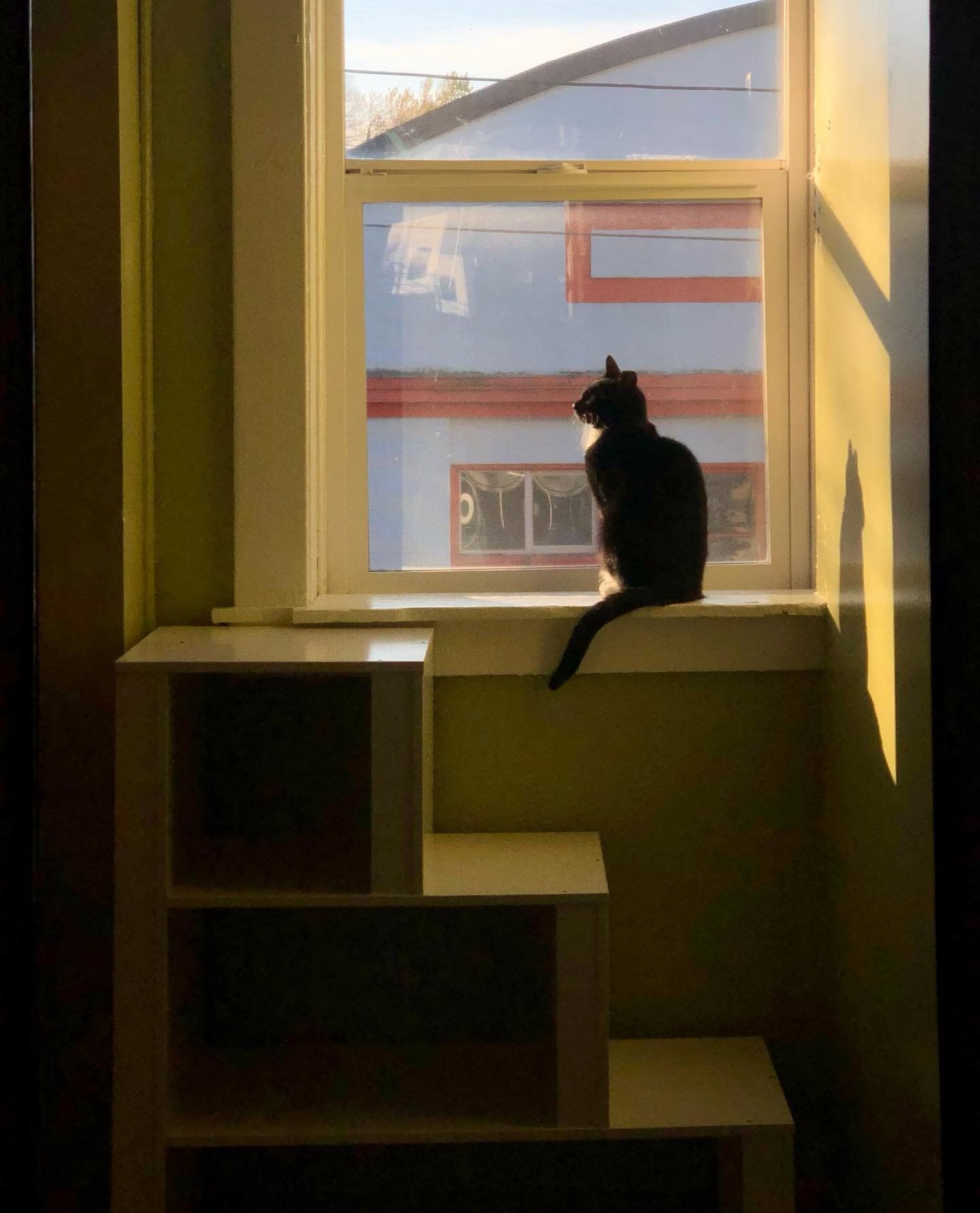 A black cat is sitting on a window sill