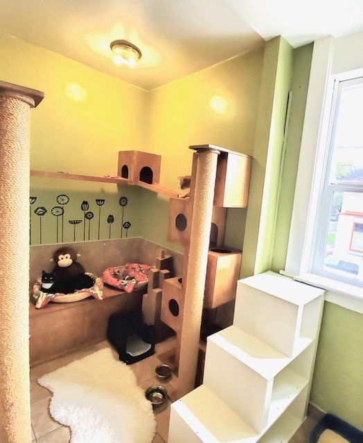 A room with a cat tree and stairs leading up to it