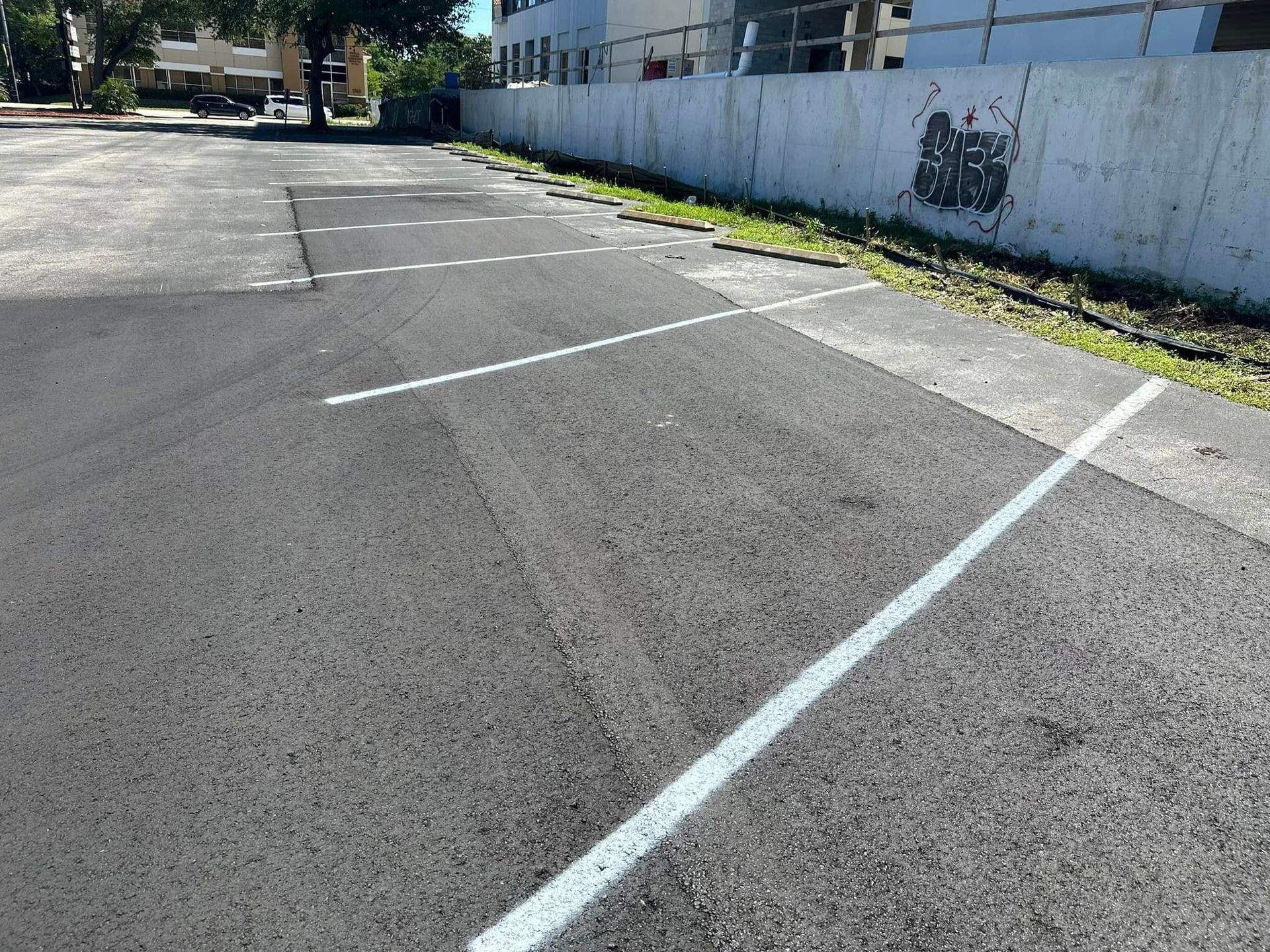 Empty asphalt parking lot with white painted spaces beside a long white wall and trees in the distance