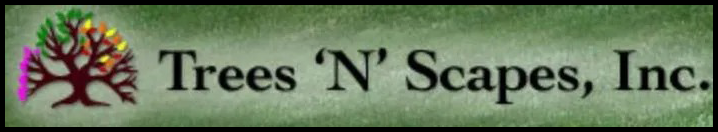 trees-n-scapes - logo