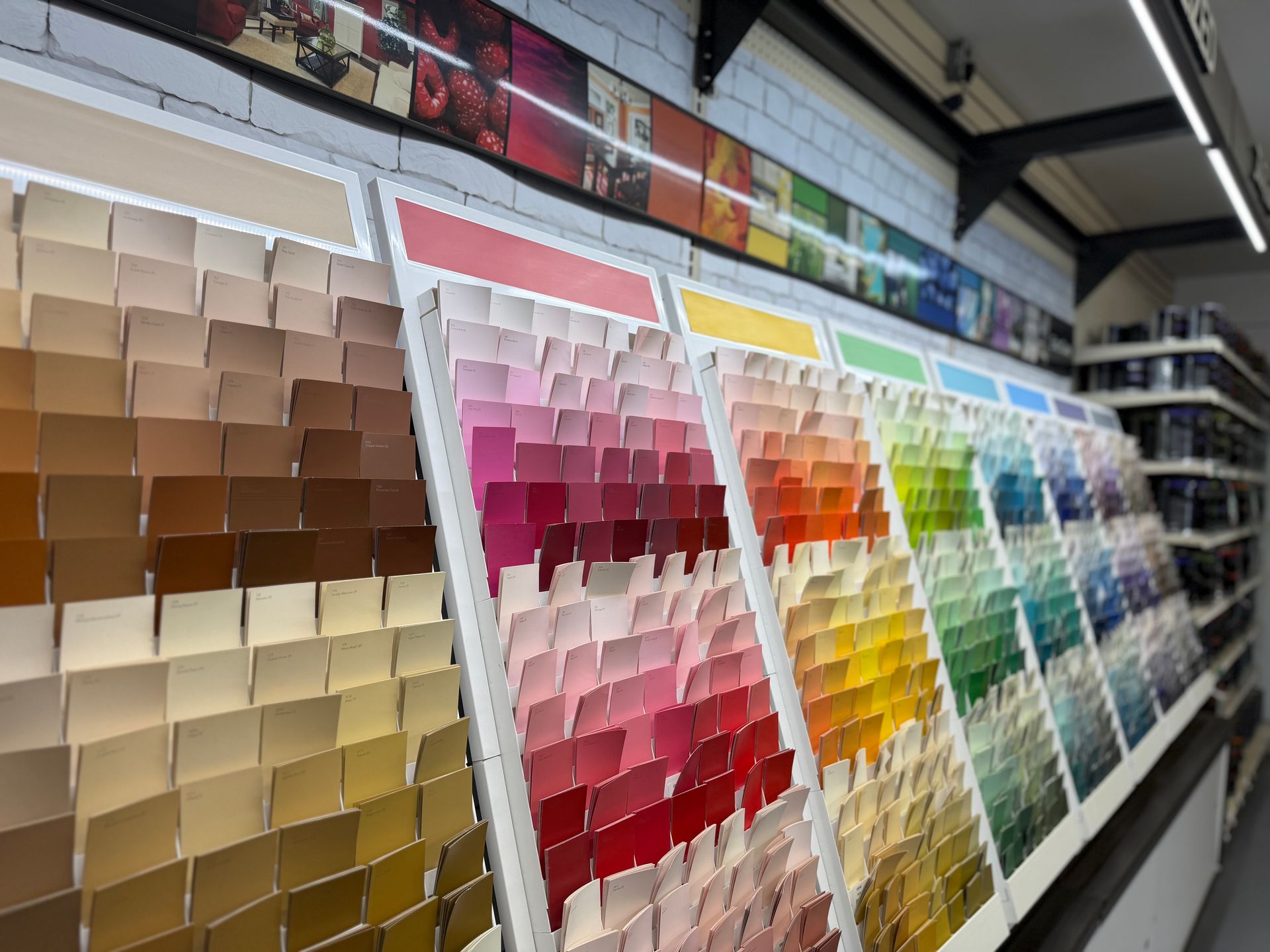 A hardware store paint aisle featuring rows of colorful paint chip samples arranged in a spectrum of hues.