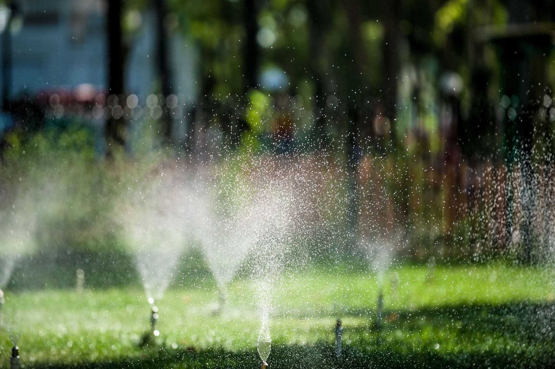Sprinklers spraying water over a green lawn in a sunlit park