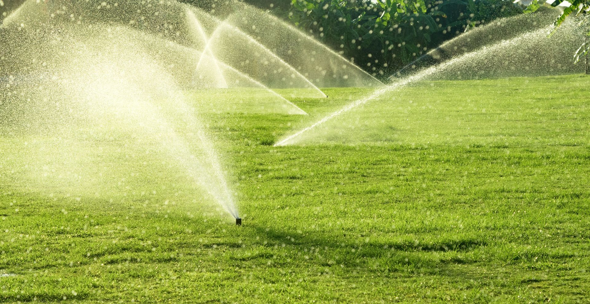 Sprinklers watering a bright green lawn in sunlight