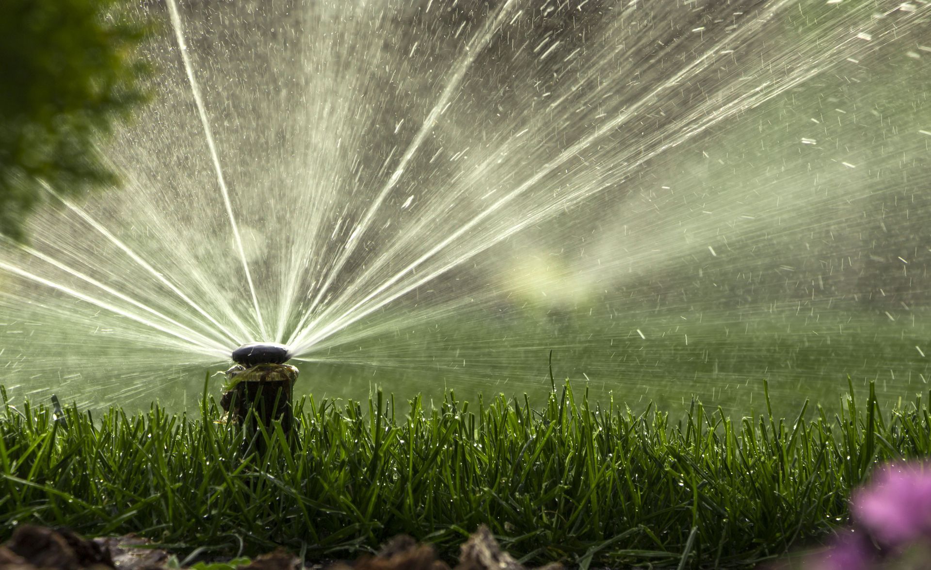 Sprinkler spraying water over a green lawn in sunlight