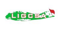 LIGCSA logo in green and white with a small red-and-white flag motif