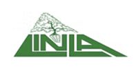 Green stylized logo with a tree above geometric letters on a white background