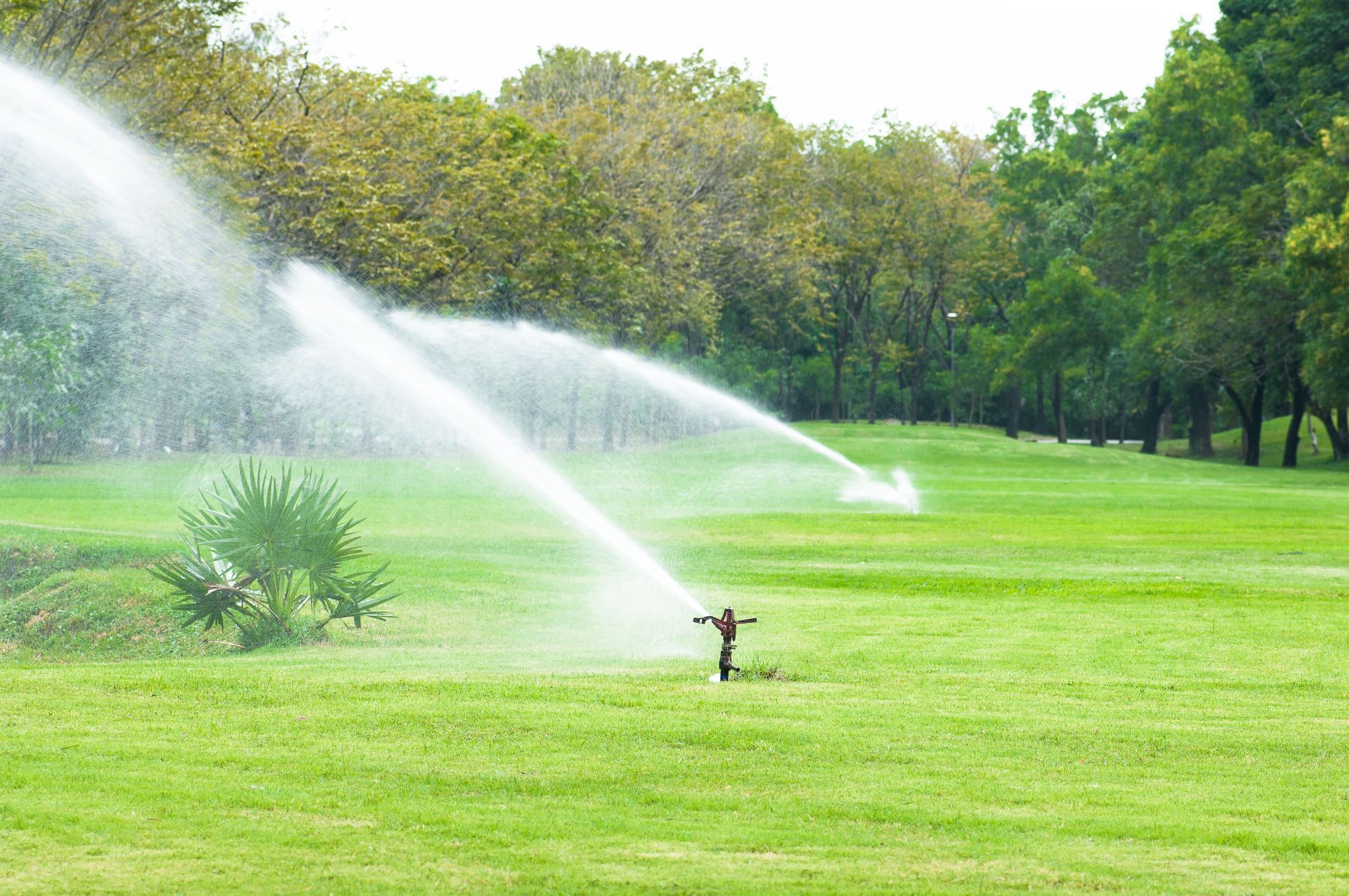 Lawn sprinkler spraying water across a bright green field with trees in the background