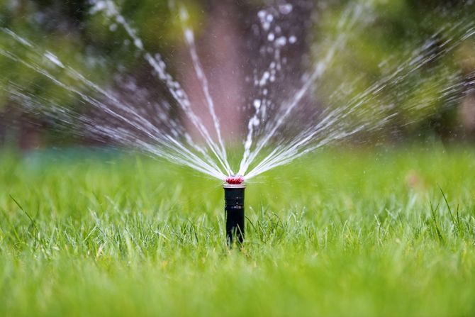 A lawn sprinkler spraying water across green grass