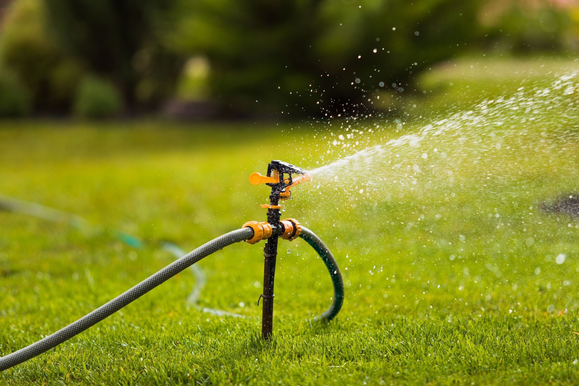 Sprinkler watering a green lawn with water spraying in a sunny garden