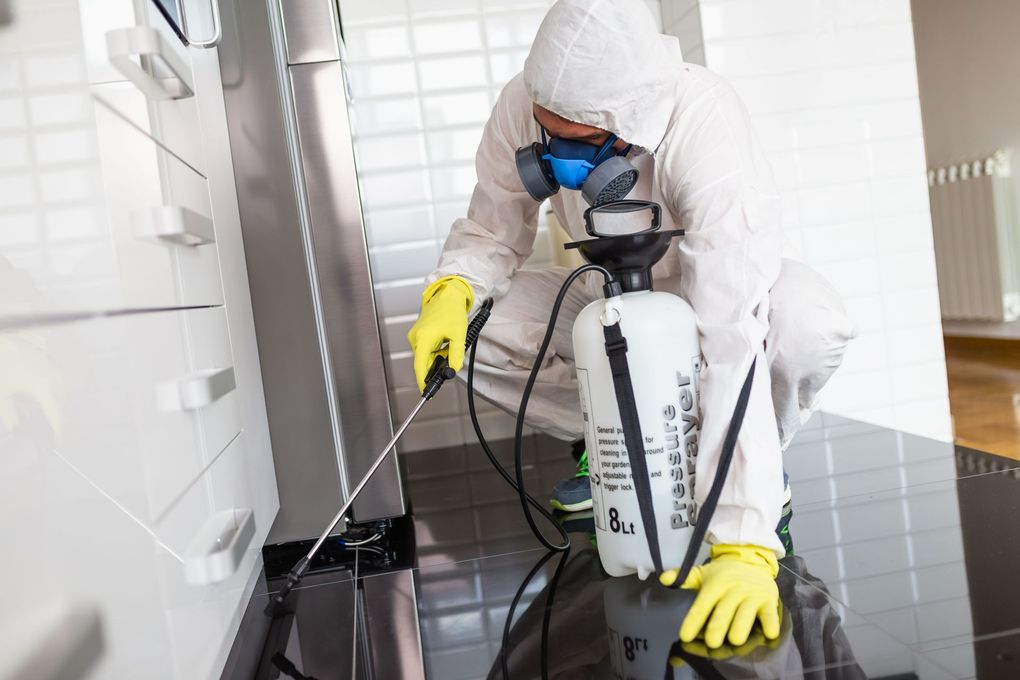 A professional in a white protective suit and respirator sprays a cleaning solution under cabinets in a modern kitchen.