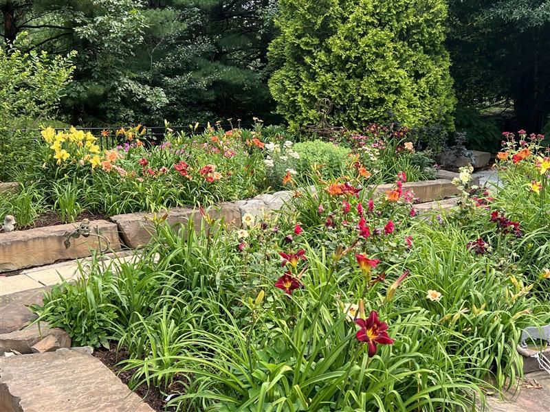 A terraced garden with blooming daylilies in shades of red, orange, and yellow, surrounded by stone walls and greenery.