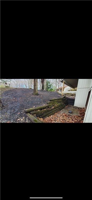 An outdoor area with dark ground, wooden logs, and trees in the background.