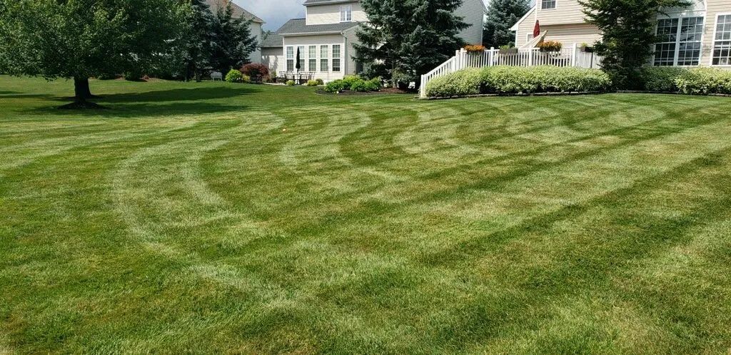 Green lawn with striped mowing pattern, houses in background.