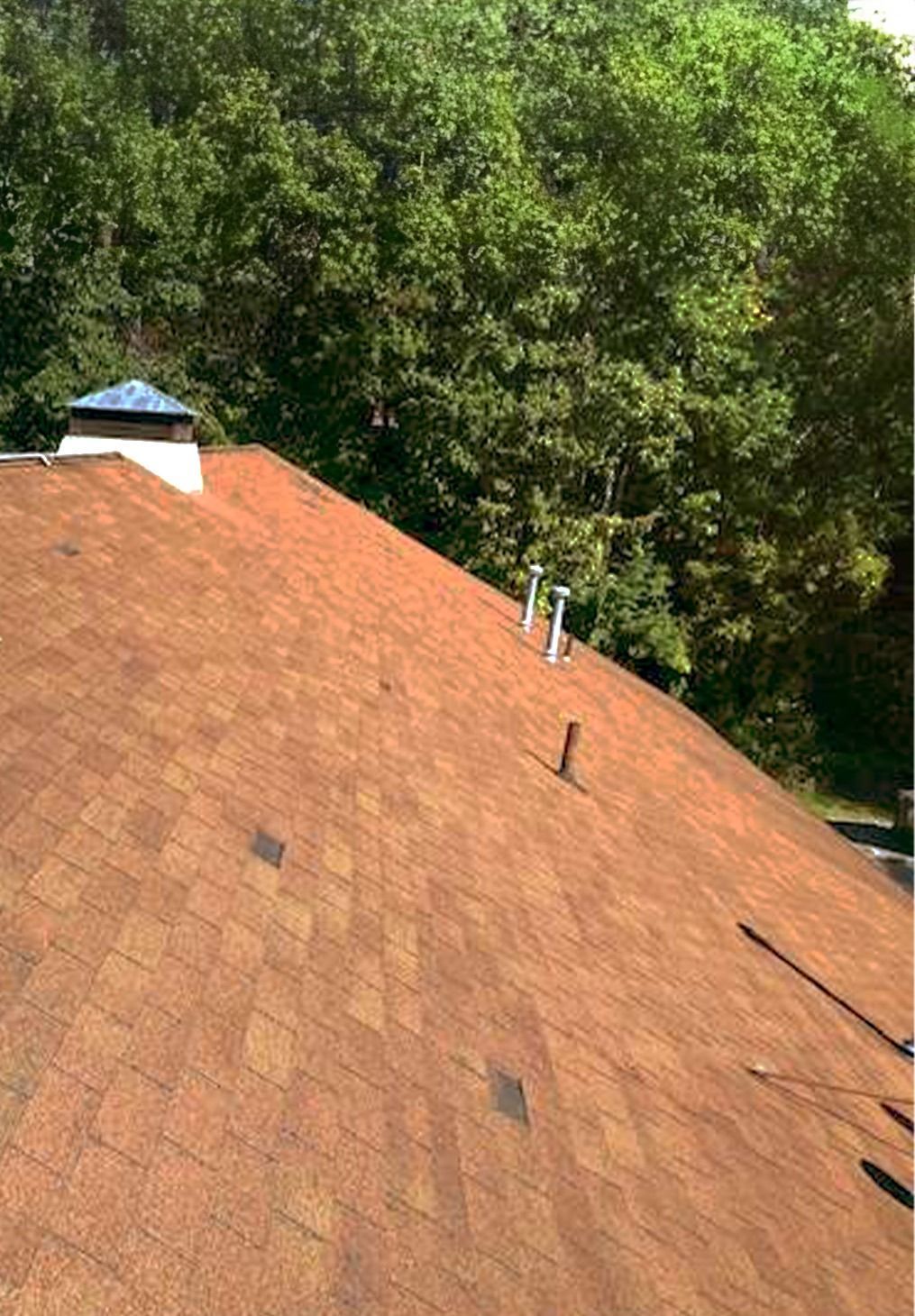 A view of a shingled residential roof with a chimney, roof vents, and plumbing pipes against a backdrop of green trees.