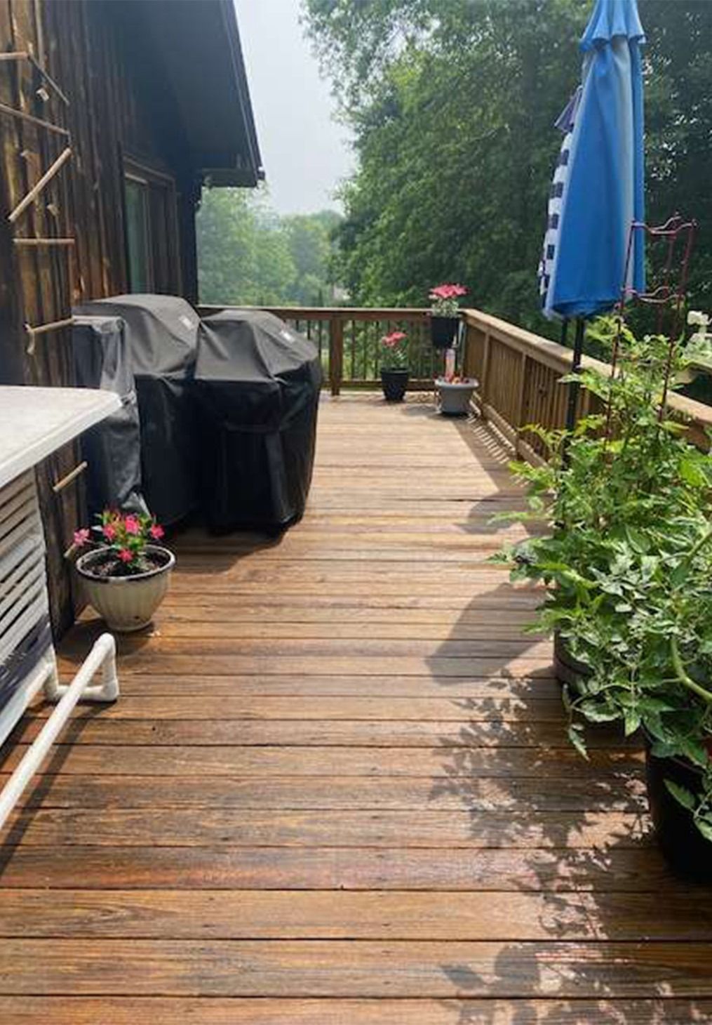 A wooden deck with a covered grill, potted plants, and a blue patio umbrella overlooking trees on a bright day.