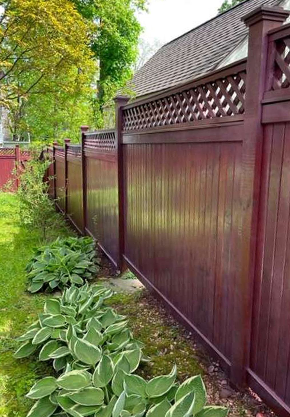 A tall, dark red wooden fence with a diamond-patterned lattice top, bordering a grassy yard with hosta plants.