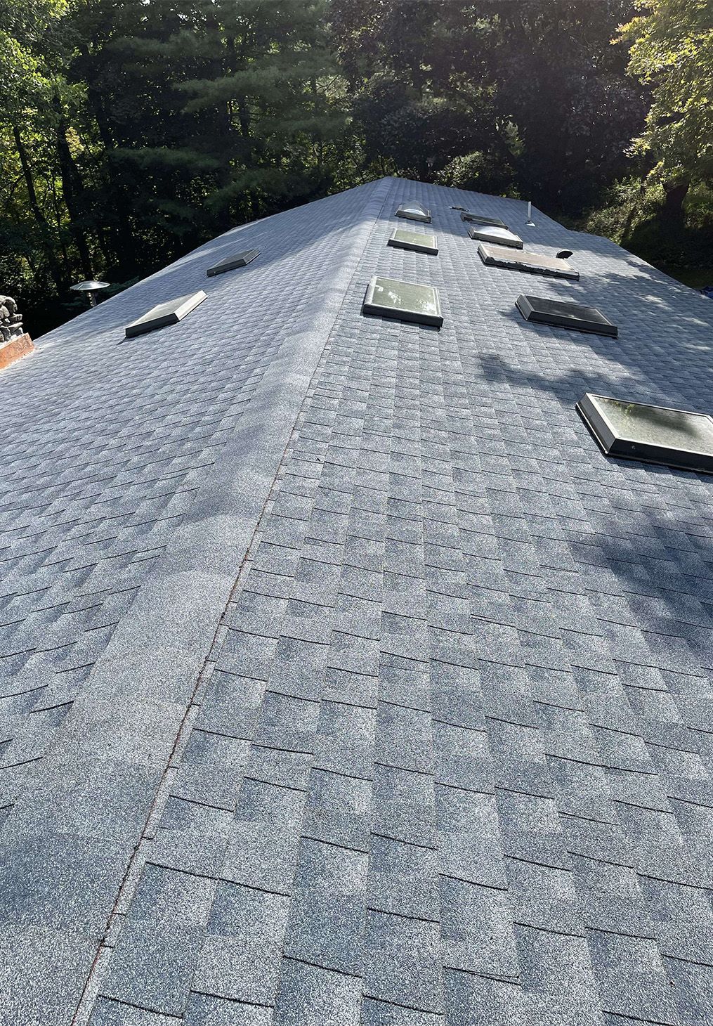 A steep gray shingled residential roof with multiple skylights, viewed from an elevated angle.