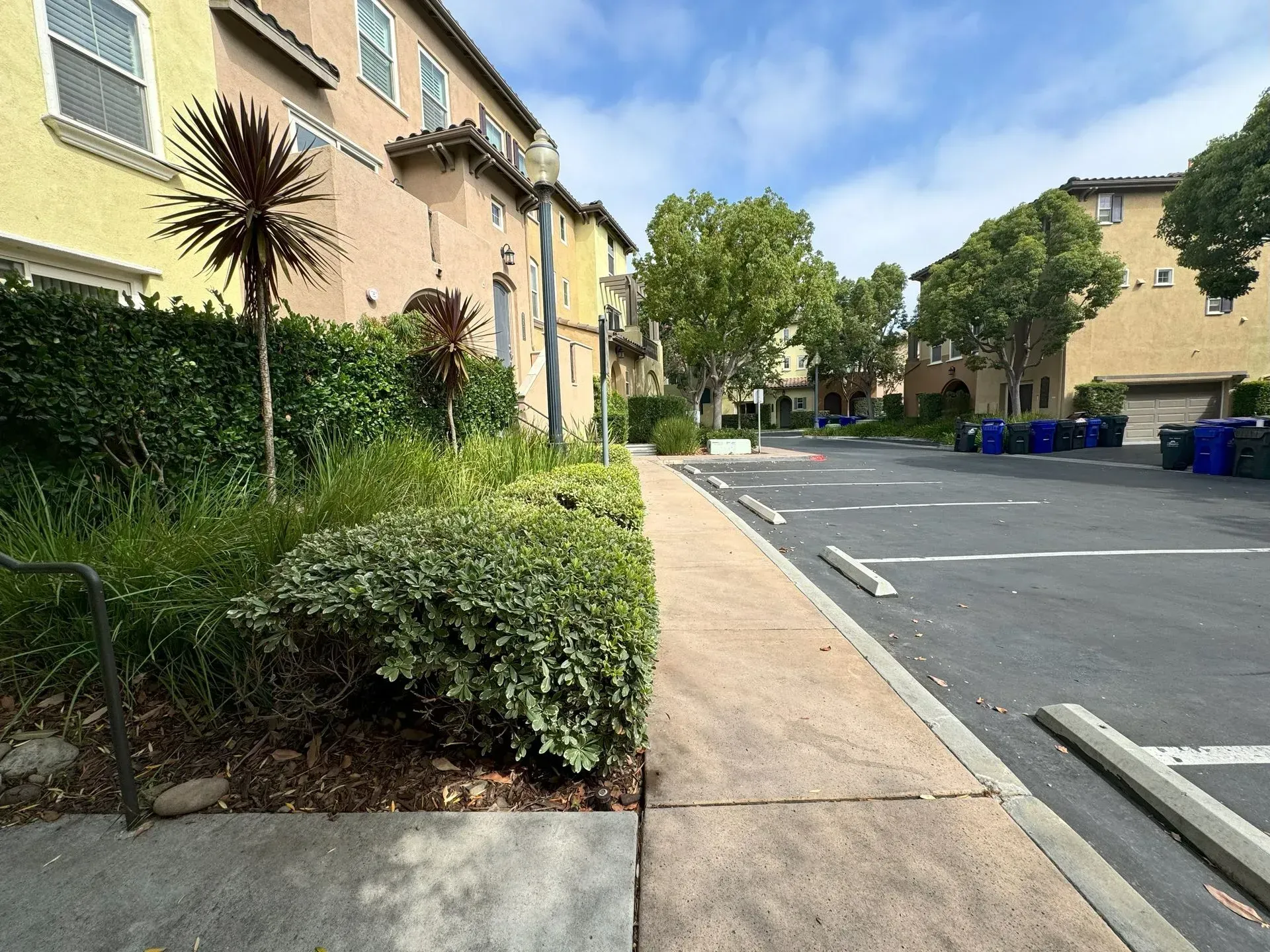 Sidewalk alongside shrubs, parking lot, and buildings under a blue sky.