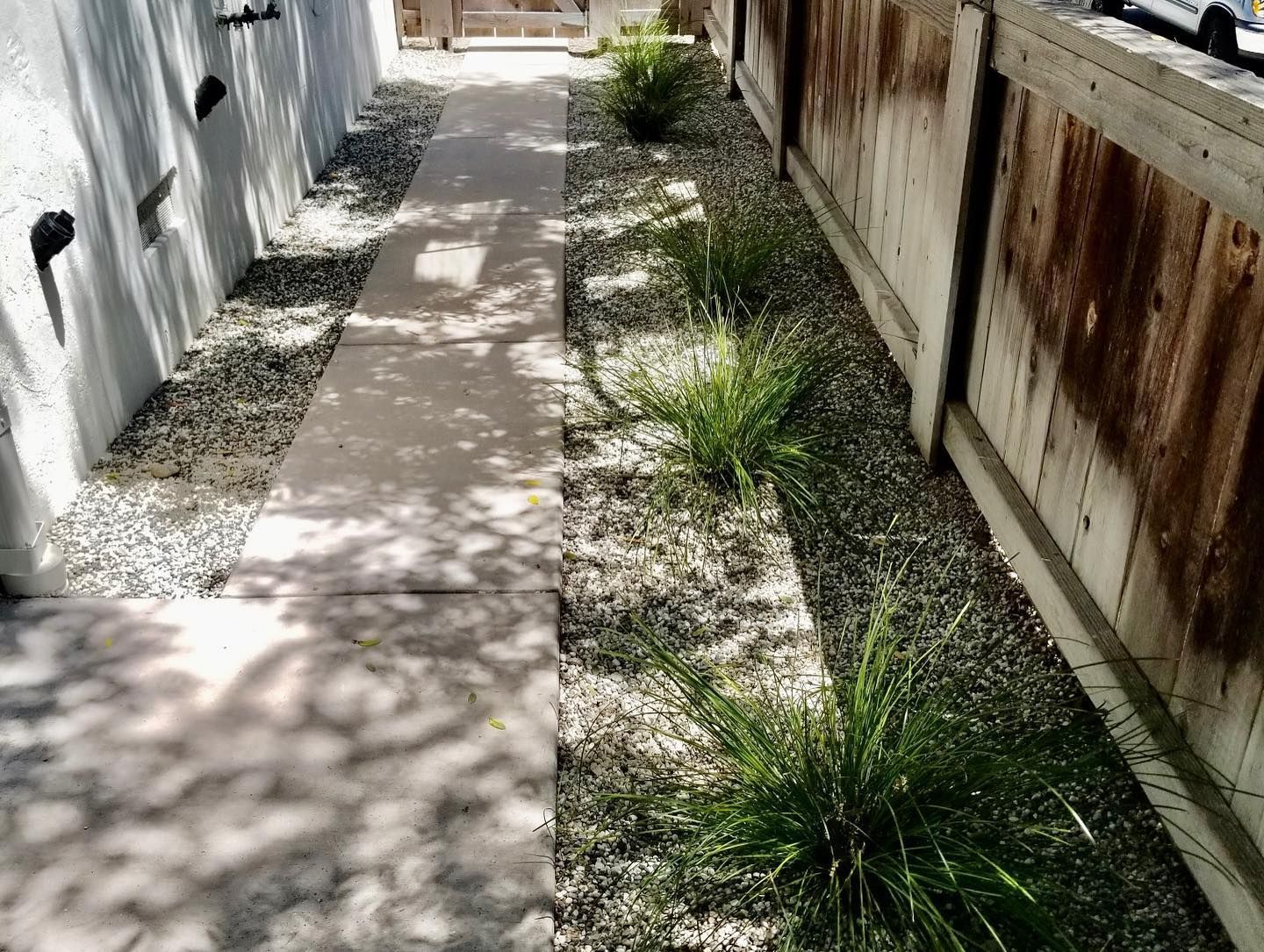 Pathway flanked by gravel and plants between a concrete wall and weathered wooden fence.