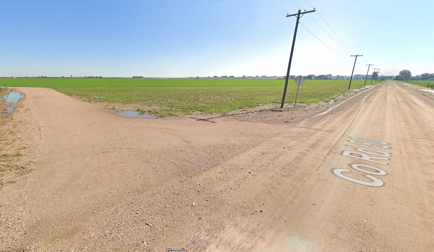 A dirt road going through a field with telephone poles on both sides.