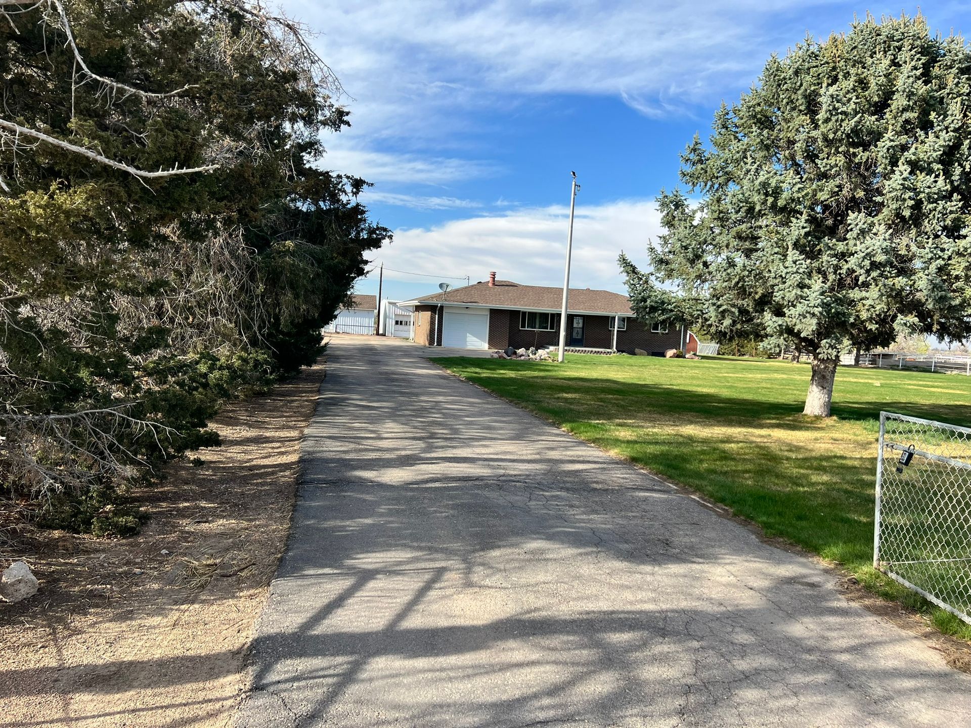 A dirt road leading to a house with trees on both sides.