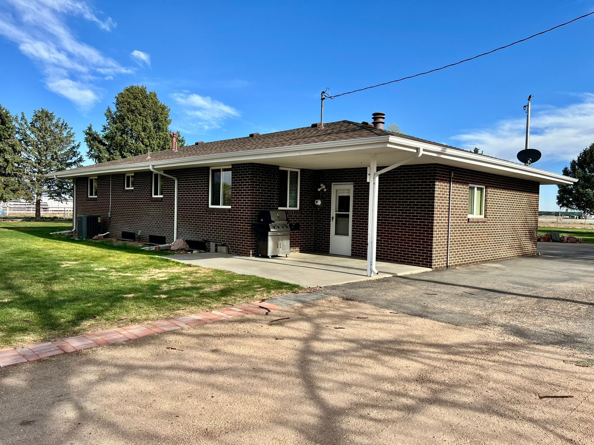 A house with a zebra print on the side of it