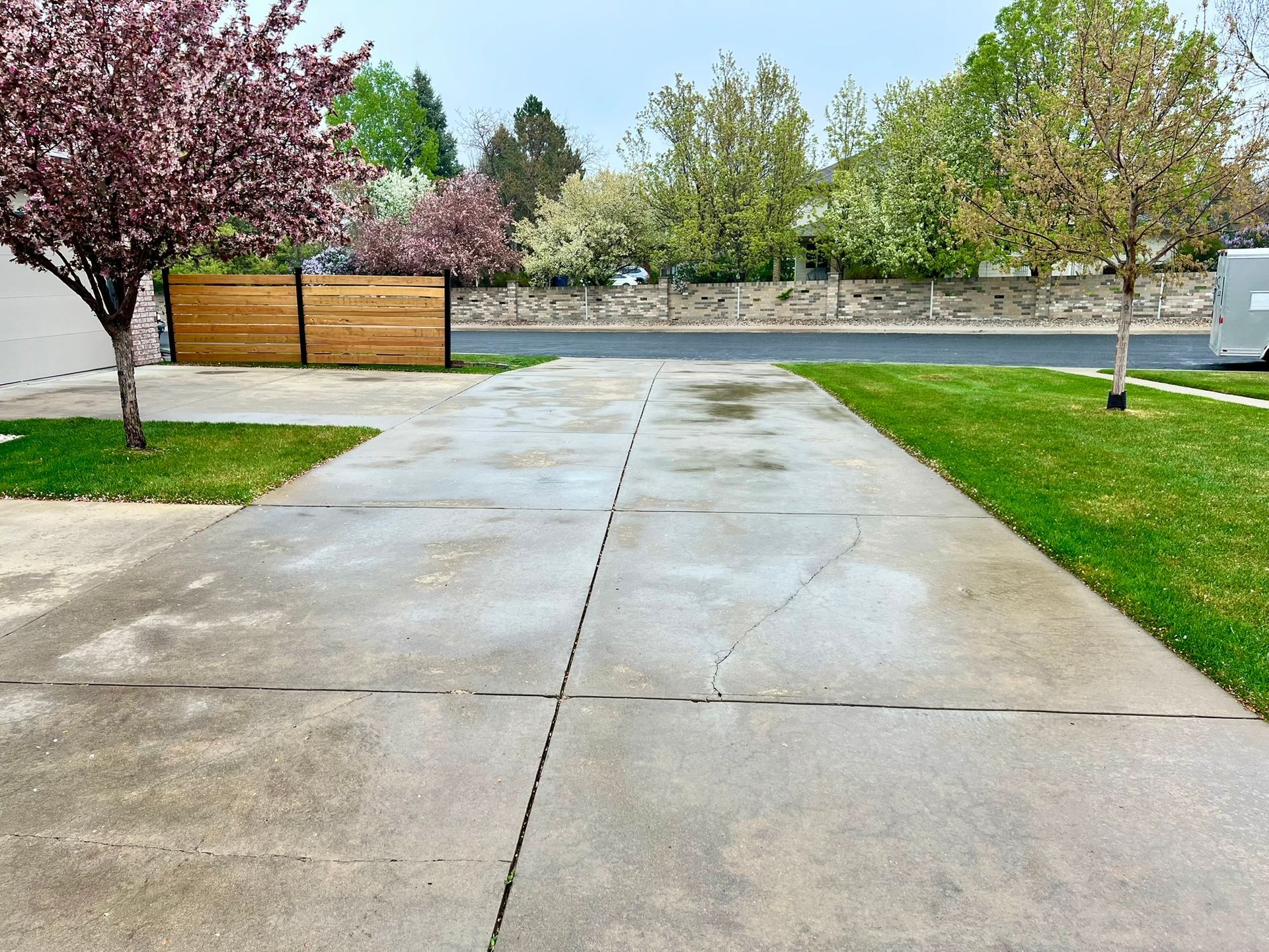 A concrete driveway with a wooden gate and a tree in the background