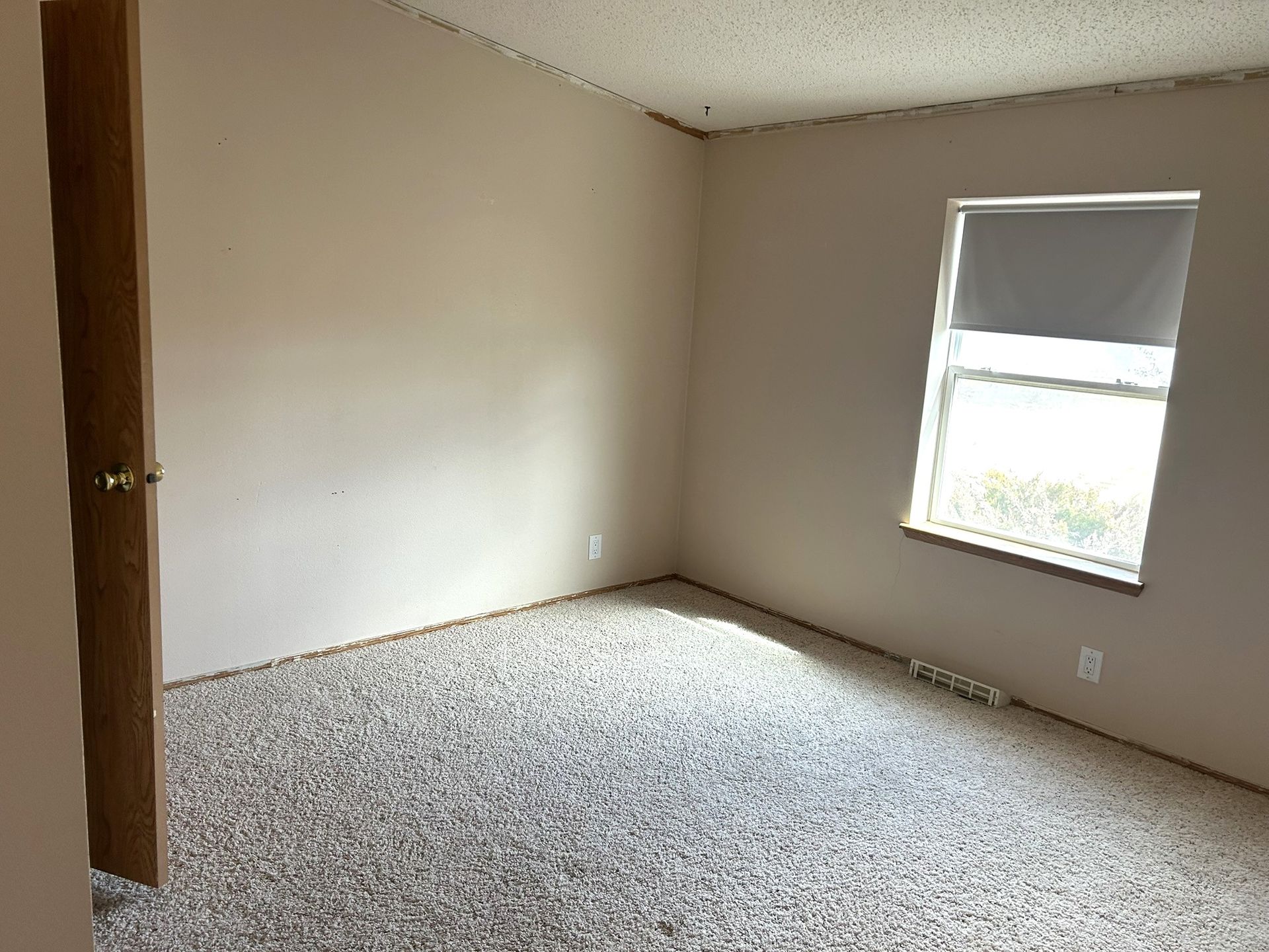 An empty bedroom with a window and a carpeted floor.
