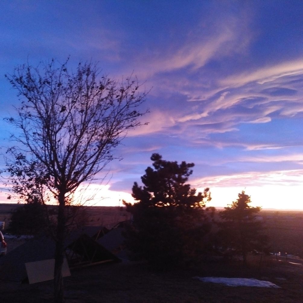 A tree is silhouetted against a sunset sky