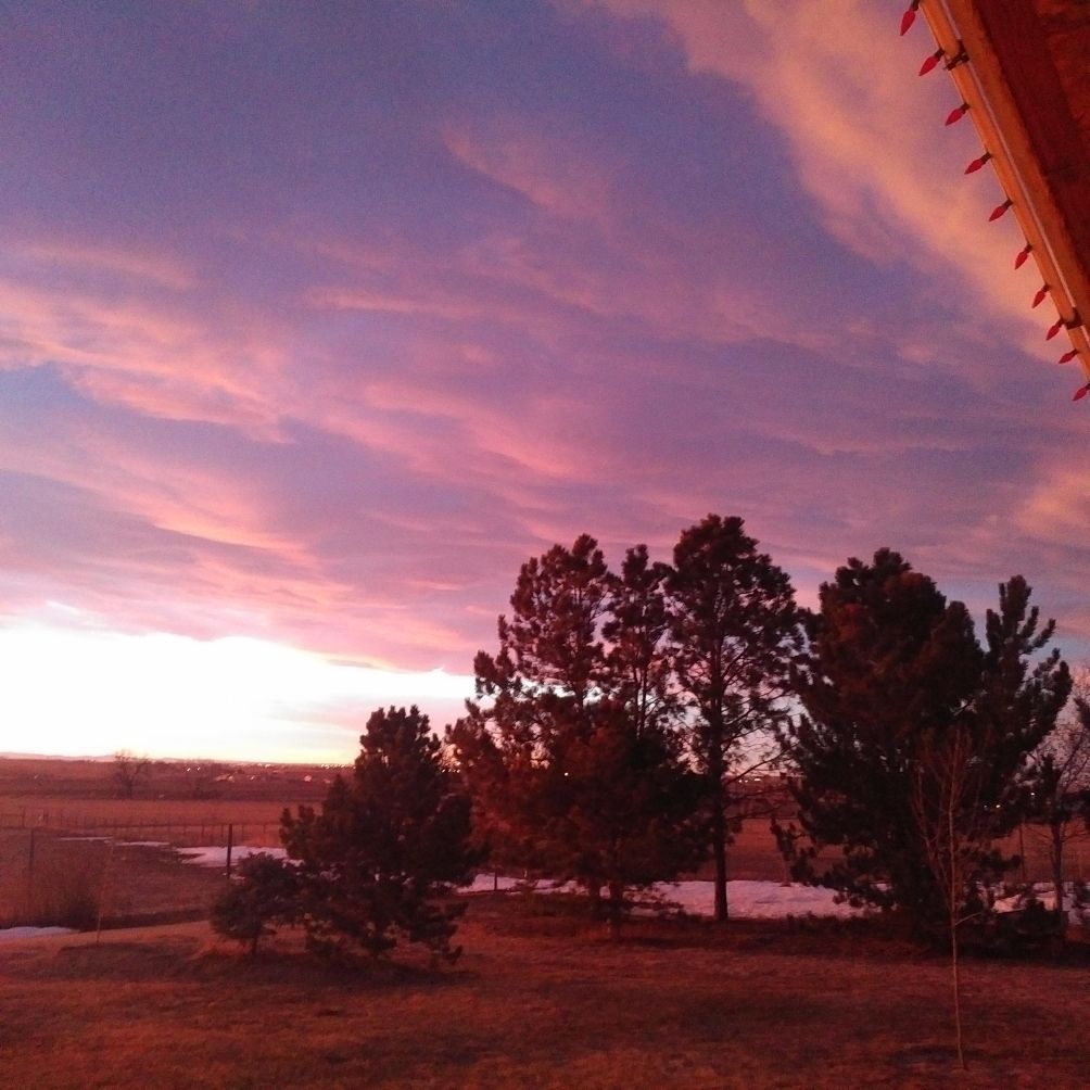 A sunset over a field with trees in the foreground