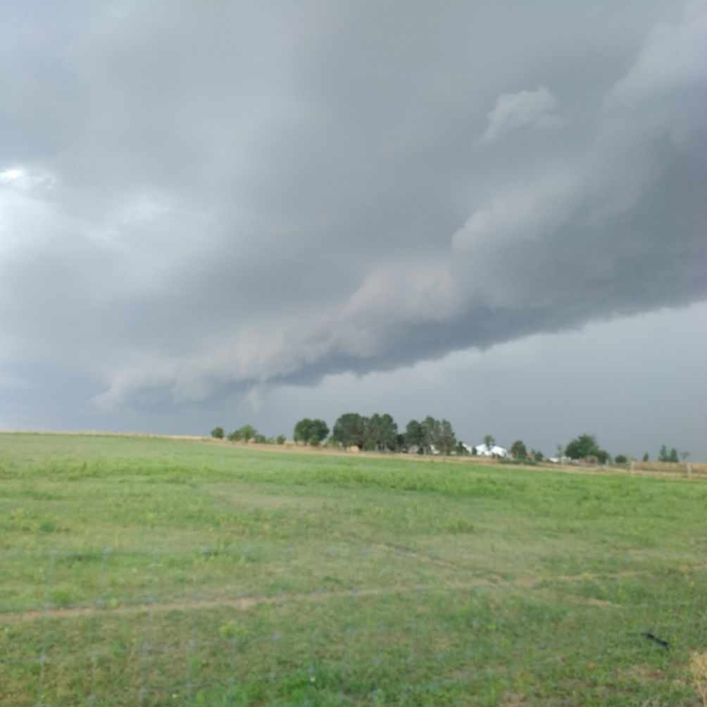 A field of grass with a cloudy sky in the background.