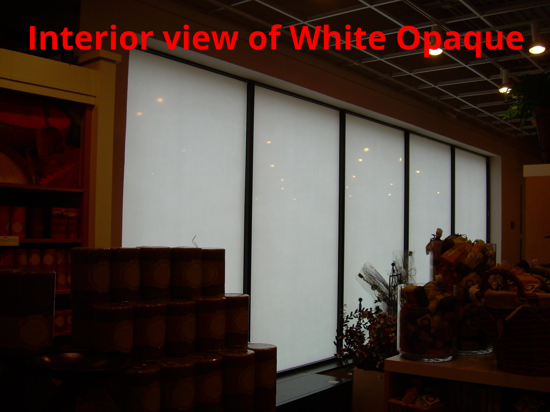 Commercial window tinting