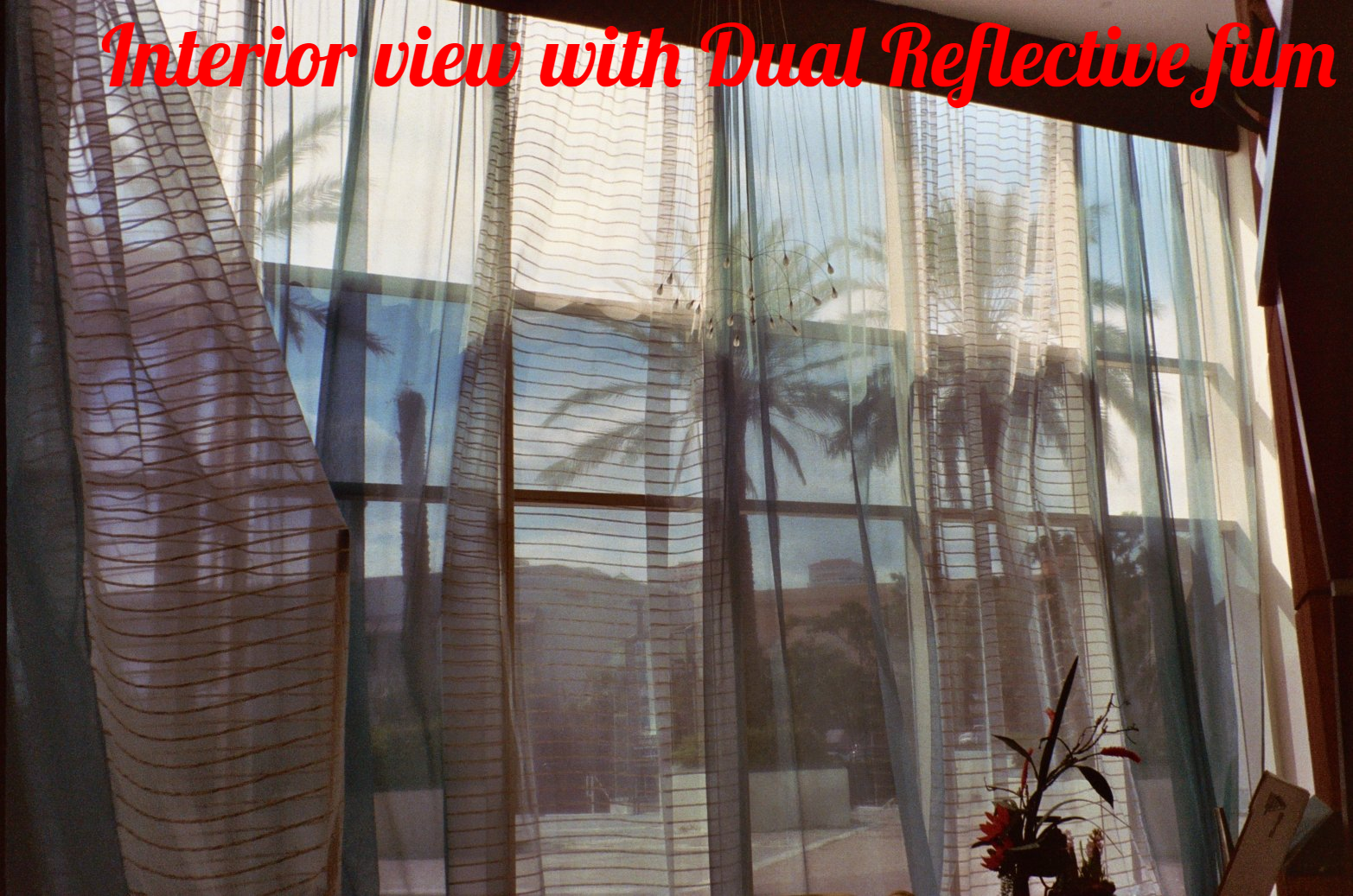 Commercial window tinting