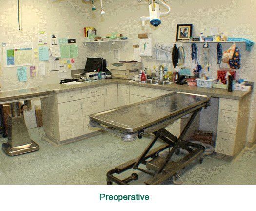 Preoperative