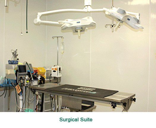 Surgical Suite