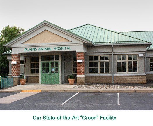 Our State-of-the-Art 