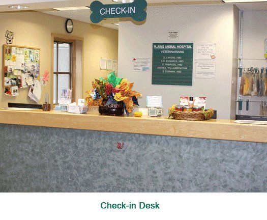 Check-in Desk