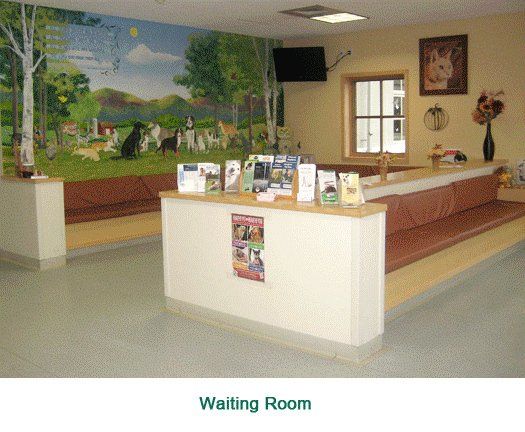 Waiting Room